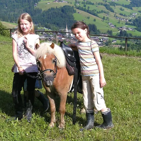 Hutte - Bischoferhutte Fur 4-10 Personen Tatil Evi *